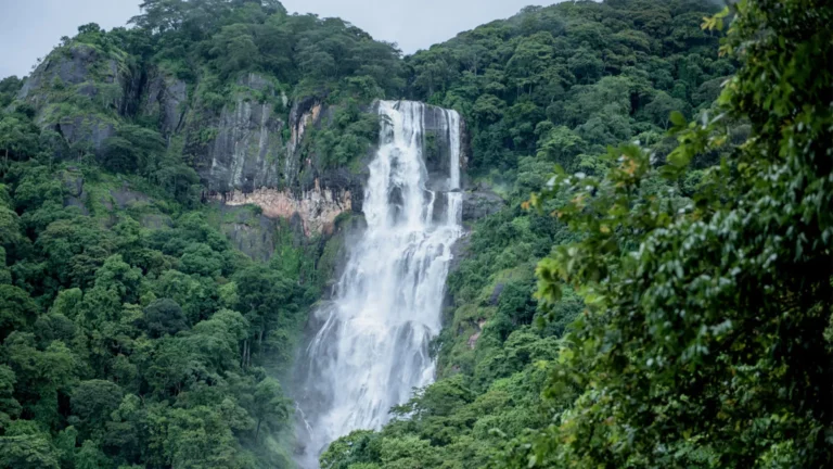 Udzungwa Mountains National Park