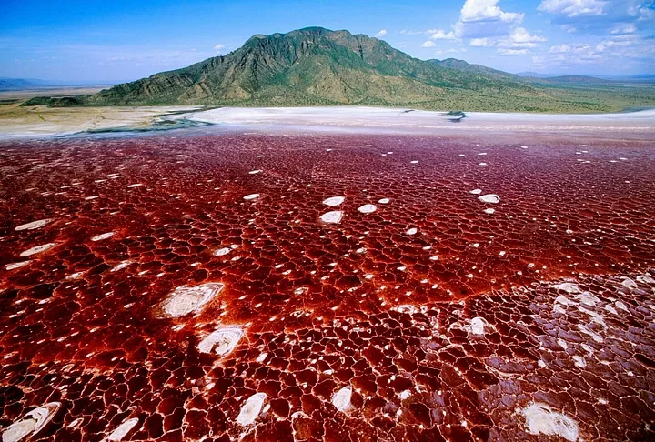 lake natron