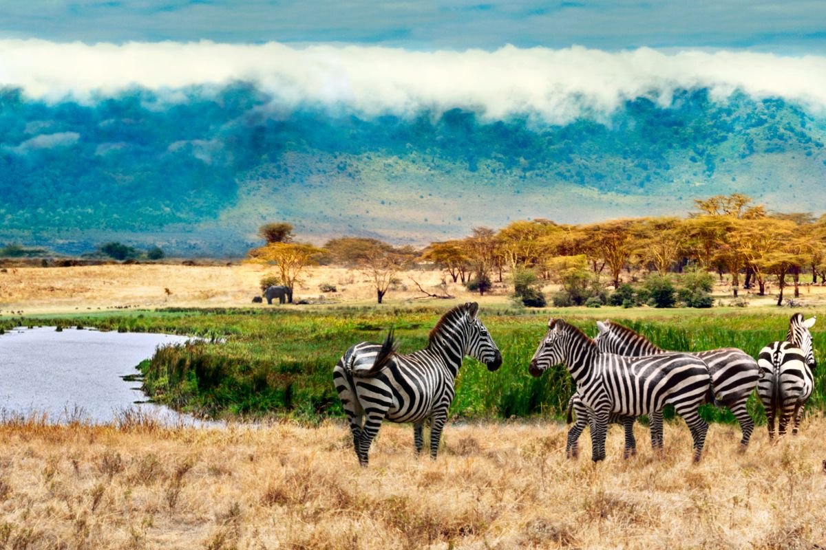 7-Day-Tanzania-Safari-Package-AK-2