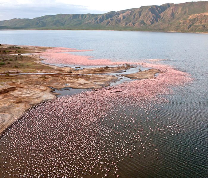 LAKE BOGORIA1