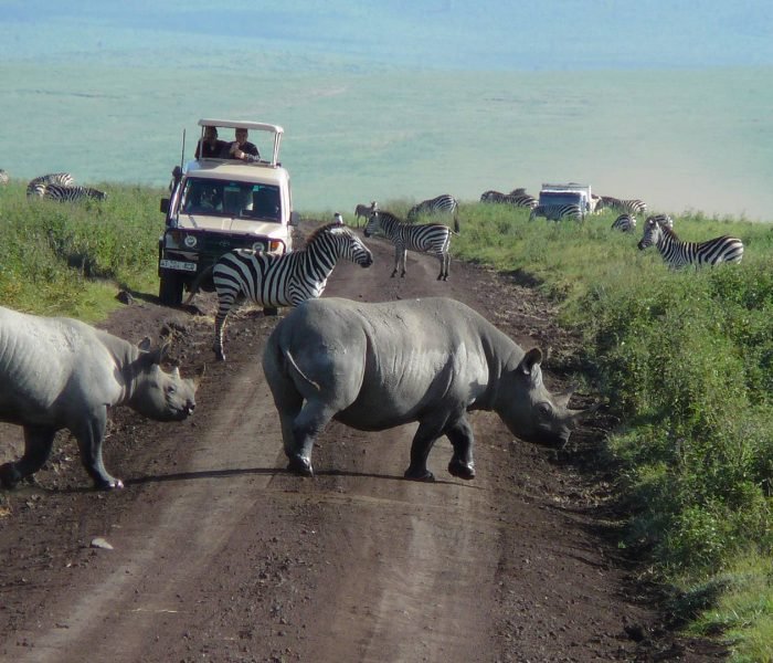 ngorongoro-crater-day-trip